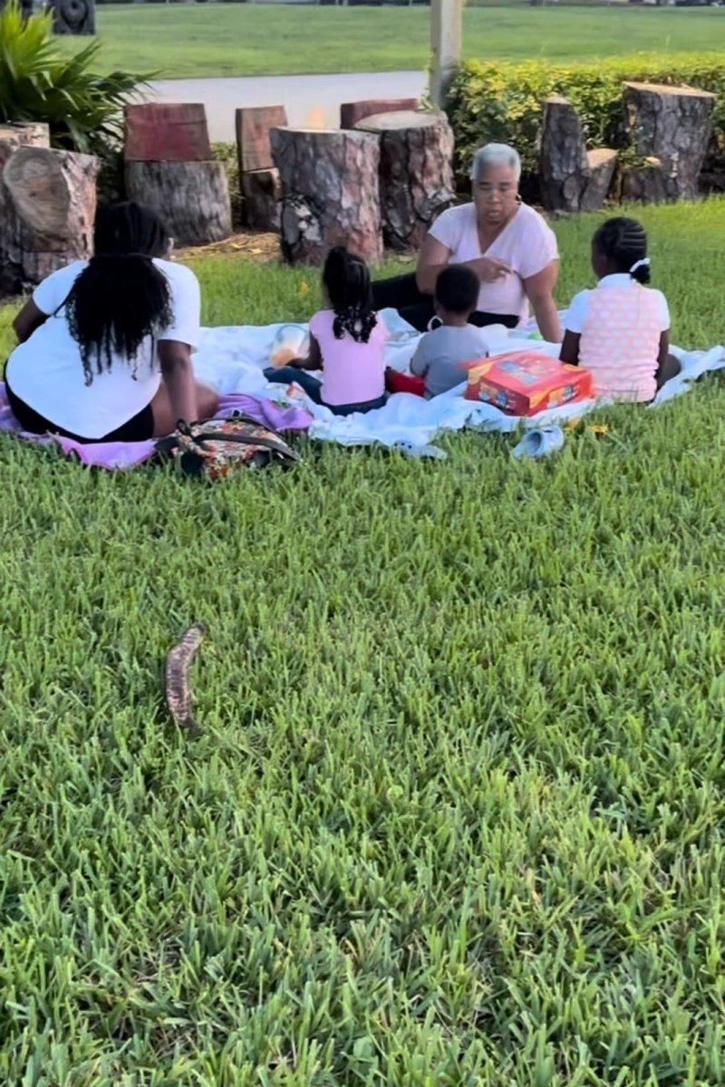 Photograph for story: Word On The Lawn